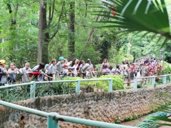 06.jpg