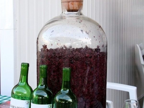 Dia de Campo Vinícola Micheletto 09.jpg