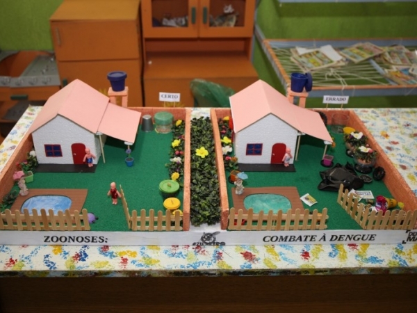 Campanha Educativa Dengue 3.JPG