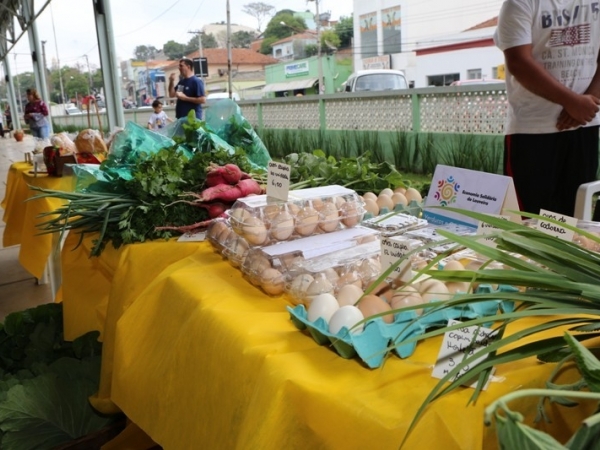 Feira solidária com produtos artesanais e orgânicos acontece no dia 9 no centro