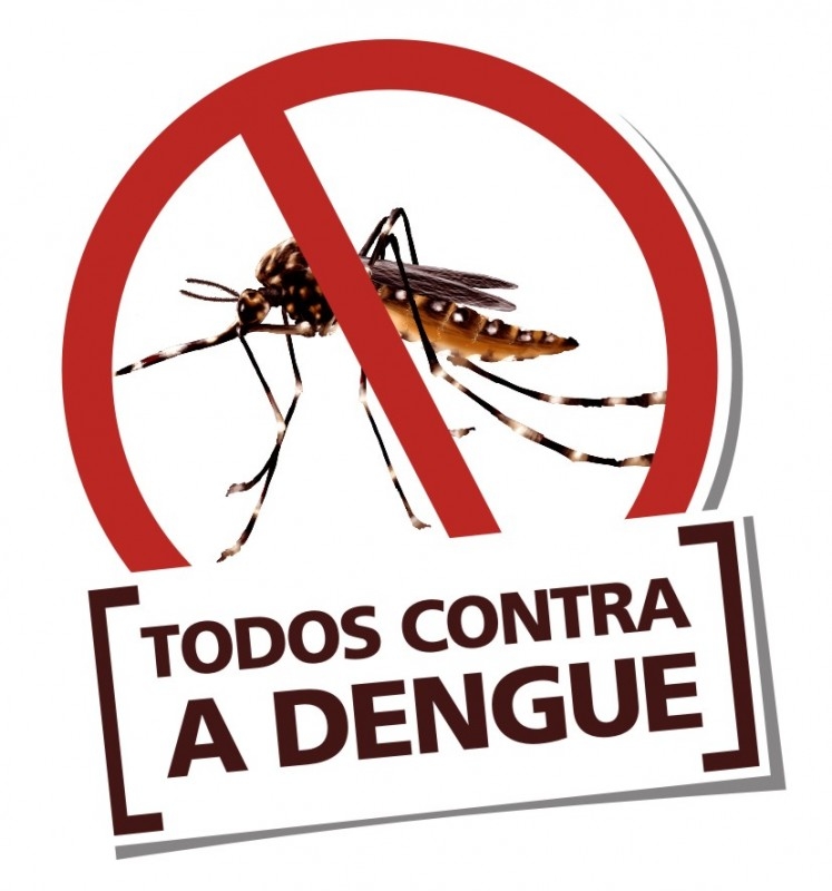 Mutirão contra a dengue mobiliza agentes de saúde e endemias em Presidente  Kennedy