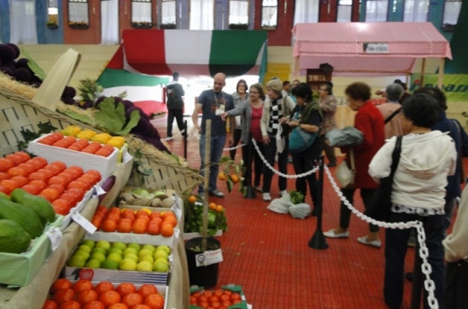 Festa da Uva