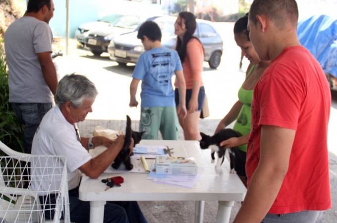 Feira de Adoção