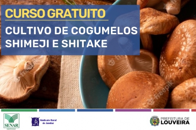 Cultivo do Shiitake em toras