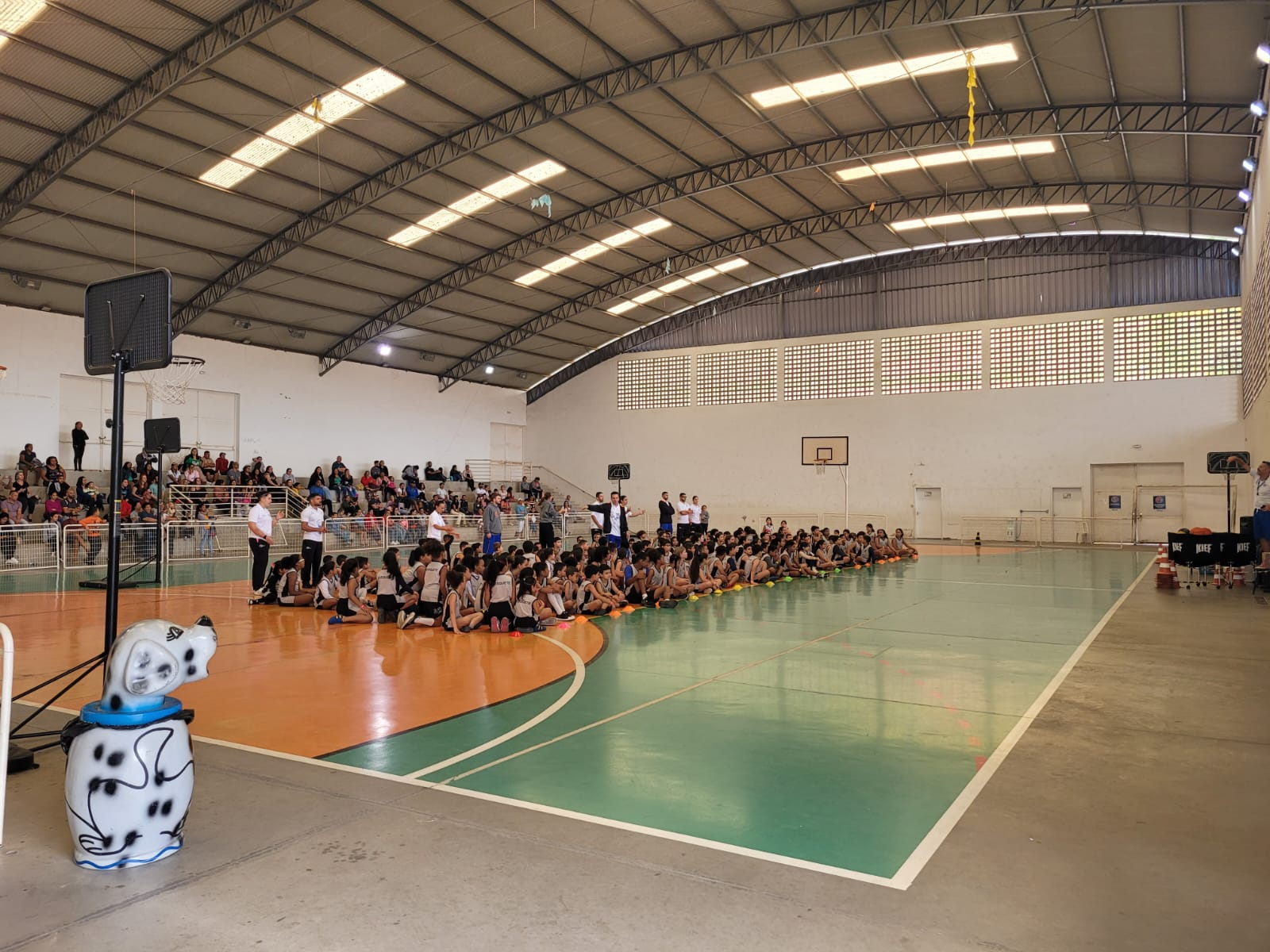 200 melhor ideia de ESPORTE BASQUETE em 2023